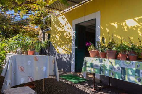 Villa i Ponta do Sol, Madeira, Ponta do Sol - € 1.300.000 | Ref: 071961 - foto 16