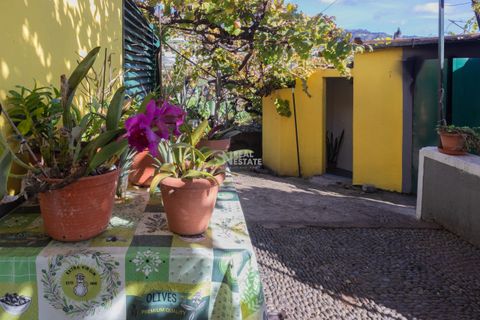 Villa i Ponta do Sol, Madeira, Ponta do Sol - € 1.300.000 | Ref: 071961 - foto 17