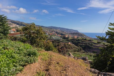 Villa i Ponta do Sol, Madeira, Ponta do Sol - € 1.300.000 | Ref: 071961 - foto 21