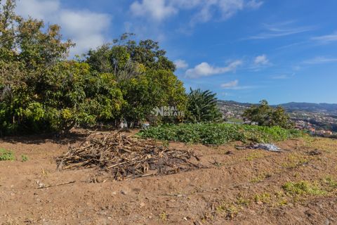Villa i Ponta do Sol, Madeira, Ponta do Sol - € 1.300.000 | Ref: 071961 - foto 22