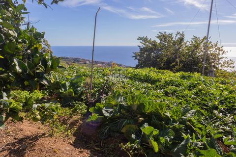 Villa i Ponta do Sol, Madeira, Ponta do Sol - € 1.300.000 | Ref: 071961 - foto 23