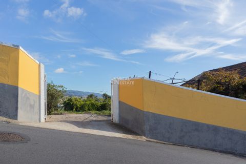 Villa i Ponta do Sol, Madeira, Ponta do Sol - € 1.300.000 | Ref: 071961 - foto 25