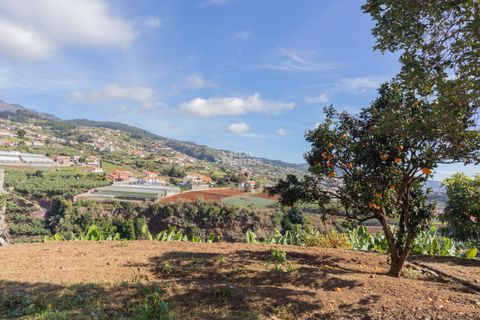 Villa i Ponta do Sol, Madeira, Ponta do Sol - € 1.300.000 | Ref: 071961 - foto 27