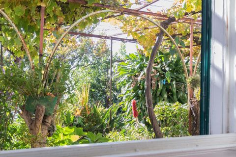 Villa i Ponta do Sol, Madeira, Ponta do Sol - € 1.300.000 | Ref: 071961 - foto 33