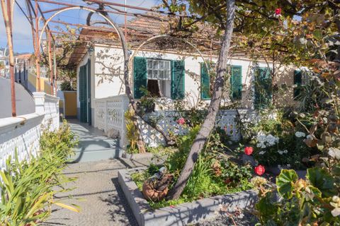 Villa i Ponta do Sol, Madeira, Ponta do Sol - € 1.300.000 | Ref: 071961 - foto 42