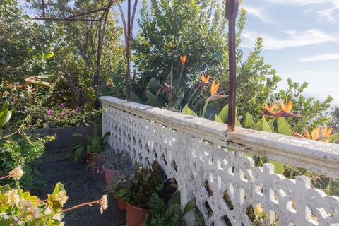 Villa i Ponta do Sol, Madeira, Ponta do Sol - € 1.300.000 | Ref: 071961 - foto 43