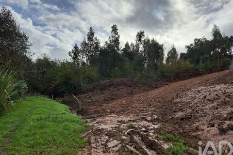 Terra a Espinho, Aveiro, Espinho - € 215.000 | Ref: 792887 - foto 5