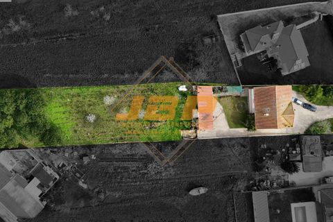 Landejendom i Alcobaca, Leiria, Alcobaca - € 430.000 | Ref: 0101 - foto 4