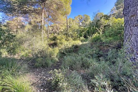 Terra a Barcelona, Barcelona, Barcelona - € 225.000 | Ref: 791067 - foto 16