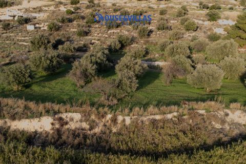 Helårsgrund i Avola, Siracusa, Avola - € 75.000 | Ref: 1239 - foto 4