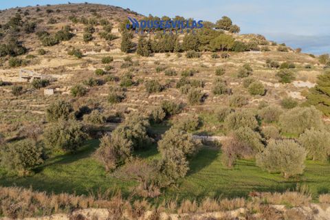 Helårsgrund i Avola, Siracusa, Avola - € 75.000 | Ref: 1239 - foto 8