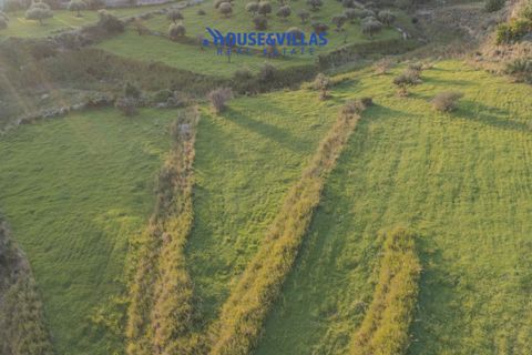 Helårsgrund i Avola, Siracusa, Avola - € 75.000 | Ref: 1239 - foto 10