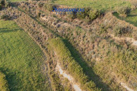 Helårsgrund i Avola, Siracusa, Avola - € 75.000 | Ref: 1239 - foto 11