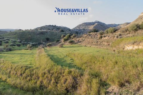 Helårsgrund i Avola, Siracusa, Avola - € 75.000 | Ref: 1239 - foto 13
