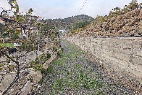 Helårsgrund i Granadilla, Tenerife, Granadilla - € 279.000 | Ref: EXP12636/8930 - foto 2