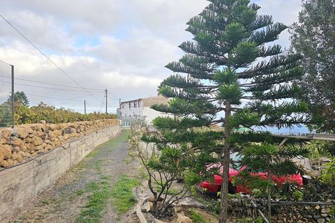 Helårsgrund i Granadilla, Tenerife, Granadilla - € 279.000 | Ref: EXP12636/8930 - foto 7