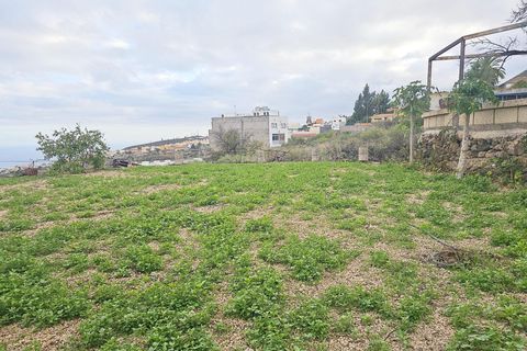 Helårsgrund i Granadilla, Tenerife, Granadilla - € 279.000 | Ref: EXP12636/8930 - foto 8