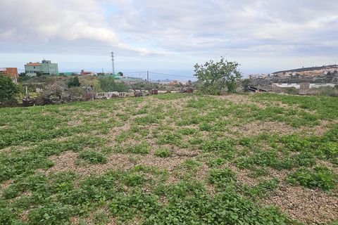 Helårsgrund i Granadilla, Tenerife, Granadilla - € 279.000 | Ref: EXP12636/8930 - foto 9