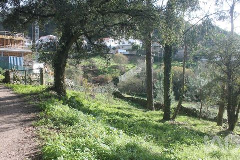 Helårsgrund i Esposende, Braga, Esposende - € 273.000 | Ref: 787454 - foto 3