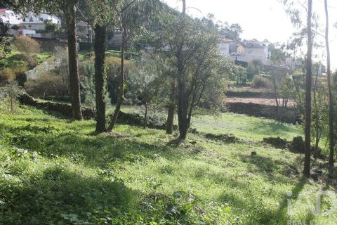 Helårsgrund i Esposende, Braga, Esposende - € 273.000 | Ref: 787454 - foto 4
