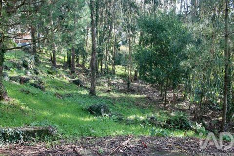 Helårsgrund i Esposende, Braga, Esposende - € 273.000 | Ref: 787454 - foto 6