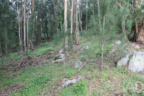 Helårsgrund i Esposende, Braga, Esposende - € 273.000 | Ref: 787454 - foto 12
