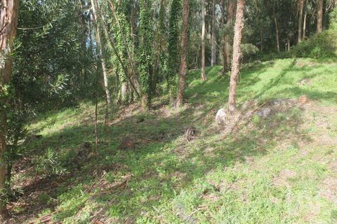 Helårsgrund i Esposende, Braga, Esposende - € 273.000 | Ref: 787454 - foto 14