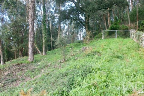 Helårsgrund i Esposende, Braga, Esposende - € 273.000 | Ref: 787454 - foto 16