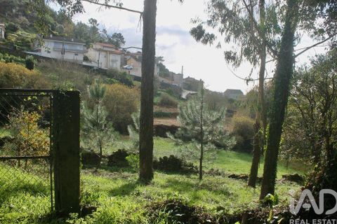 Helårsgrund i Esposende, Braga, Esposende - € 273.000 | Ref: 787454 - foto 17