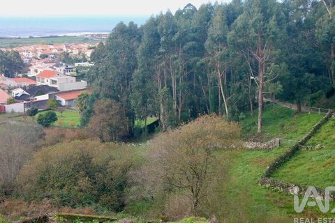 Helårsgrund i Esposende, Braga, Esposende - € 273.000 | Ref: 787454 - foto 18
