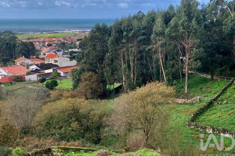 Helårsgrund i Esposende, Braga, Esposende - € 273.000 | Ref: 787454 - foto 23