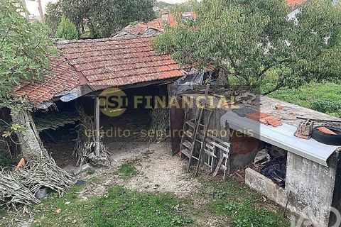 Farm i Arouca, Aveiro, Arouca - € 195.000 | Ref: 792947 - foto 15
