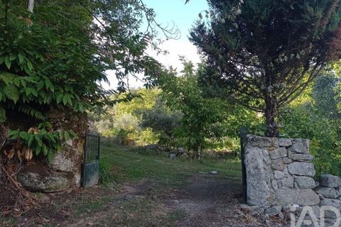 Terra a Tabuaco, Viseu, Tabuaco - € 95.000 | Ref: 786486 - foto 3
