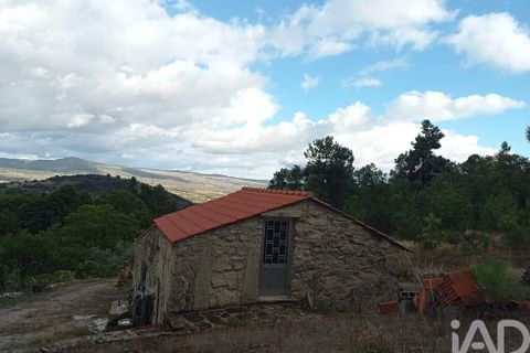 Terra a Tabuaco, Viseu, Tabuaco - € 95.000 | Ref: 786486 - foto 4