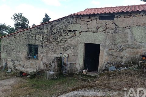 Terra a Tabuaco, Viseu, Tabuaco - € 95.000 | Ref: 786486 - foto 2