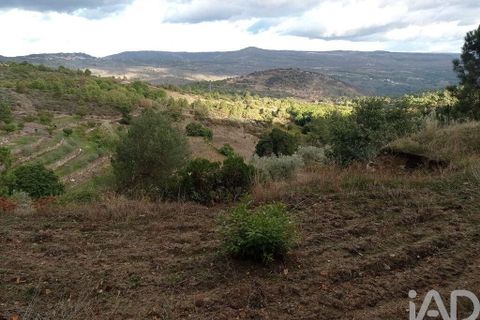 Terra a Tabuaco, Viseu, Tabuaco - € 95.000 | Ref: 786486 - foto 5