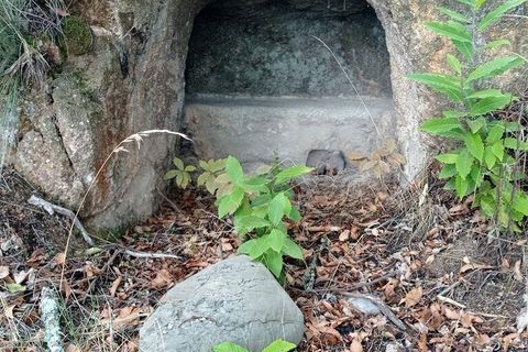 Terra a Tabuaco, Viseu, Tabuaco - € 95.000 | Ref: 786486 - foto 6