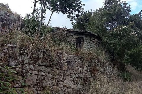 Terra a Tabuaco, Viseu, Tabuaco - € 95.000 | Ref: 786486 - foto 8
