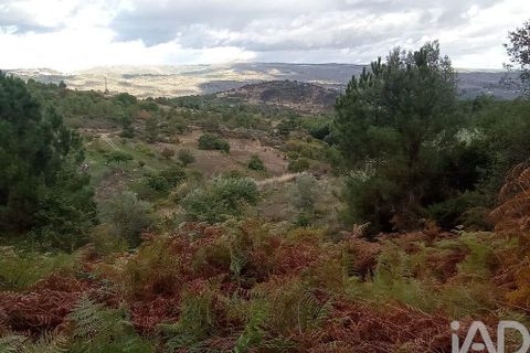Terra a Tabuaco, Viseu, Tabuaco - € 95.000 | Ref: 786486 - foto 9