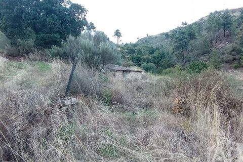 Terra a Tabuaco, Viseu, Tabuaco - € 95.000 | Ref: 786486 - foto 10