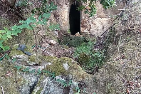 Terra a Tabuaco, Viseu, Tabuaco - € 95.000 | Ref: 786486 - foto 11