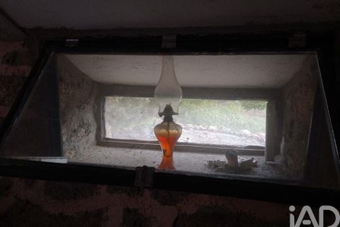 Terra a Tabuaco, Viseu, Tabuaco - € 95.000 | Ref: 786486 - foto 14
