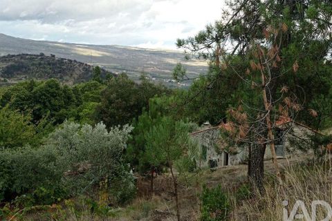 Terra a Tabuaco, Viseu, Tabuaco - € 95.000 | Ref: 786486 - foto 17