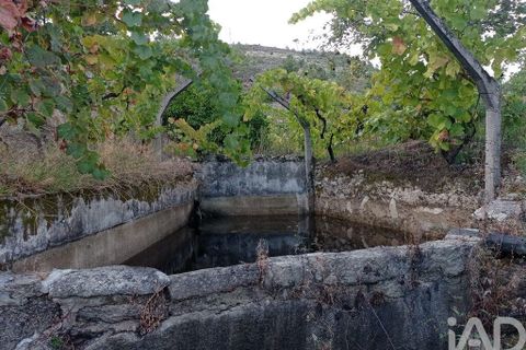 Terra a Tabuaco, Viseu, Tabuaco - € 95.000 | Ref: 786486 - foto 18