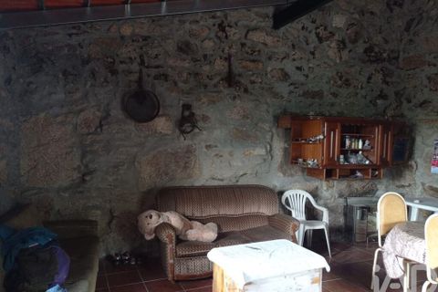 Terra a Tabuaco, Viseu, Tabuaco - € 95.000 | Ref: 786486 - foto 20