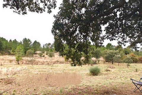 Farm i Castelo Branco, Castelo Branco, Castelo Branco - € 20.690 | Ref: 791347 - foto 6
