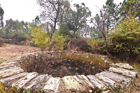Farm i Castelo Branco, Castelo Branco, Castelo Branco - € 20.690 | Ref: 791347 - foto 3