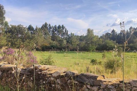 Farm i Castelo Branco, Castelo Branco, Castelo Branco - € 20.690 | Ref: 791347 - foto 2
