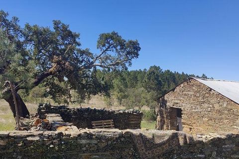 Farm i Castelo Branco, Castelo Branco, Castelo Branco - € 20.690 | Ref: 791347 - foto 8