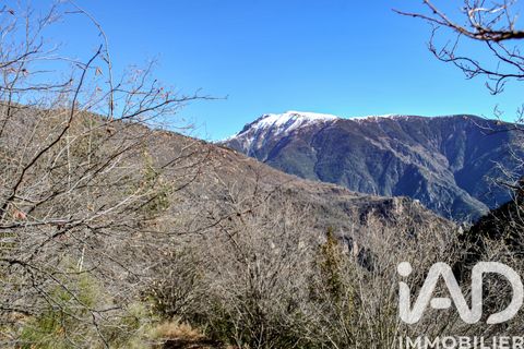 Landejendom i Roubion, Alpes-Maritimes, Roubion - € 49.500 | Ref: 49467 - foto 1